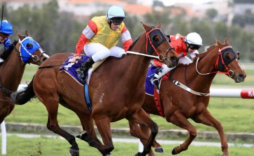 Greg Hooper's Tips for Ascot 26th October